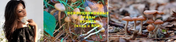 мяу мяу кристалл Аркадак
