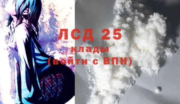 ГАЛЛЮЦИНОГЕННЫЕ ГРИБЫ Протвино